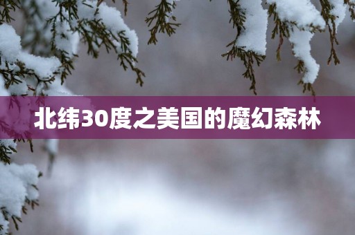 北纬30度之美国的魔幻森林