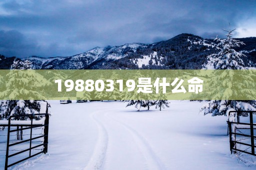 19880319是什么命
