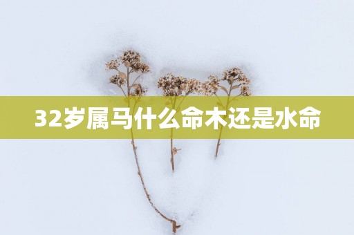 32岁属马什么命木还是水命