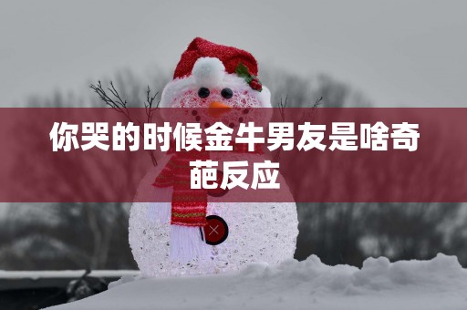 你哭的时候金牛男友是啥奇葩反应