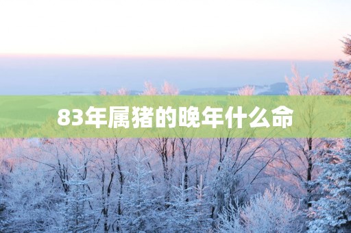 83年属猪的晚年什么命