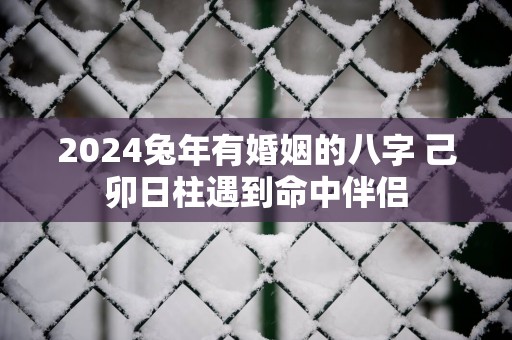 2025蛇年有婚姻的八字 己卯日柱遇到命中伴侣