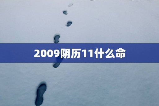 2009阴历11什么命