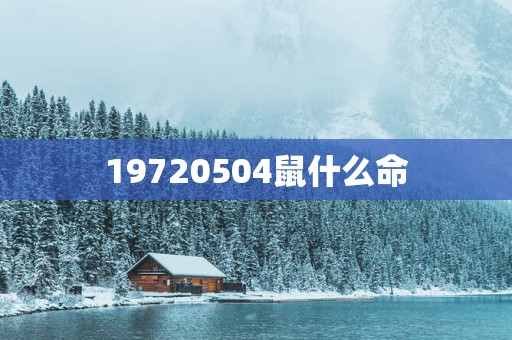 19720504鼠什么命