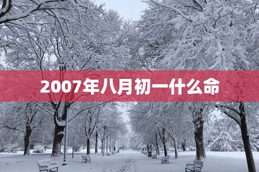 2007年八月初一什么命
