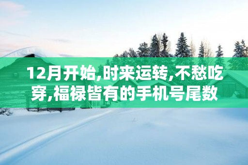 12月开始,时来运转,不愁吃穿,福禄皆有的手机号尾数!