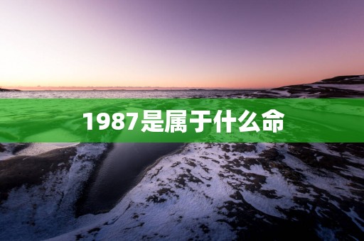 1987是属于什么命