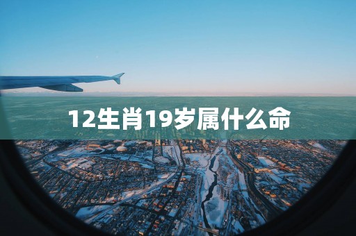 12生肖19岁属什么命