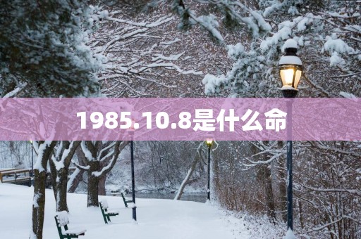 1985.10.8是什么命
