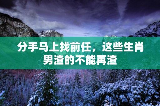 分手马上找前任，这些生肖男渣的不能再渣
