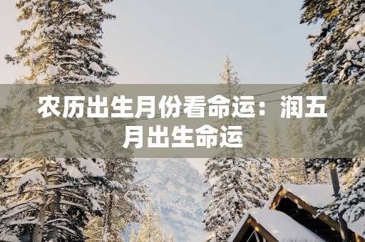 农历出生月份看命运：润五月出生命运