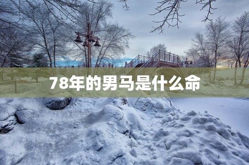 78年的男马是什么命
