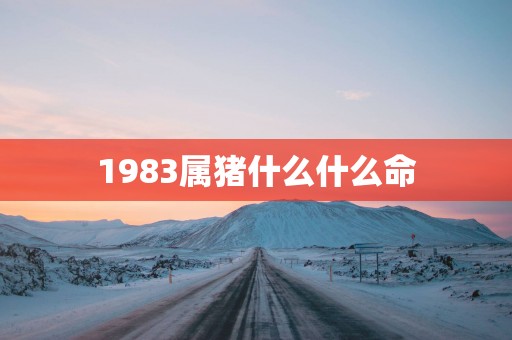 1983属猪什么什么命