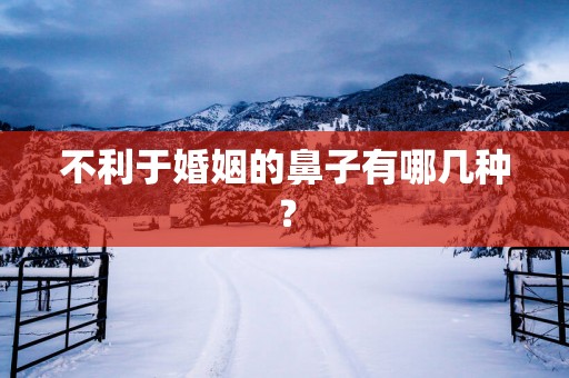 不利于婚姻的鼻子有哪几种？