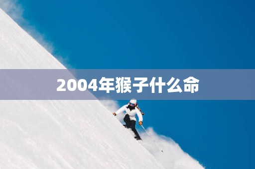2004年猴子什么命