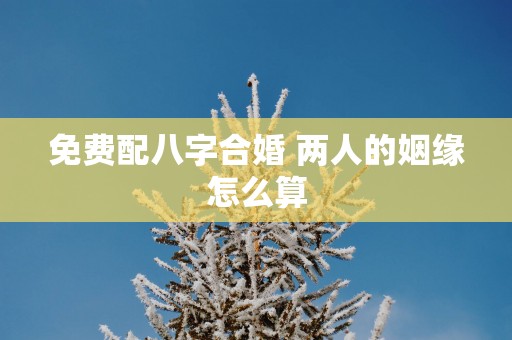 免费配八字合婚 两人的姻缘怎么算
