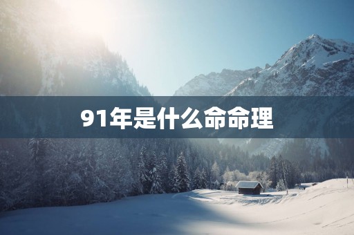 91年是什么命命理