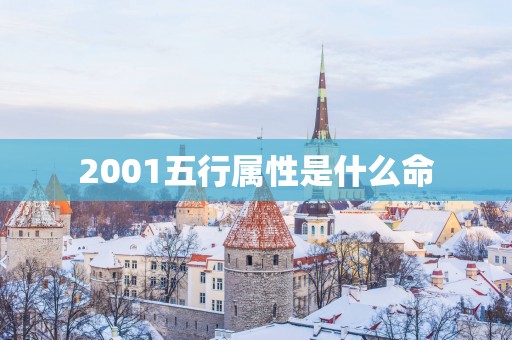 2001五行属性是什么命