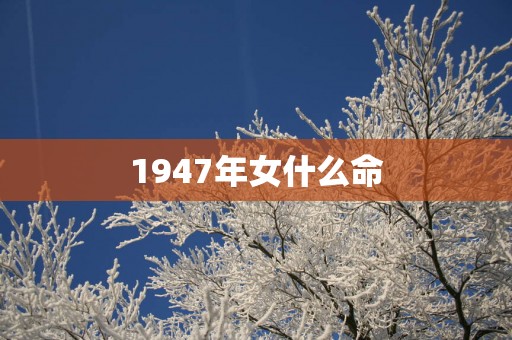 1947年女什么命