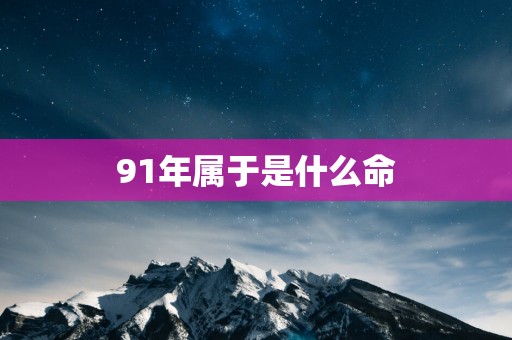 91年属于是什么命