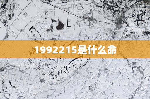 1992215是什么命