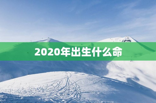 2025年出生什么命