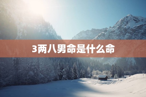 3两八男命是什么命