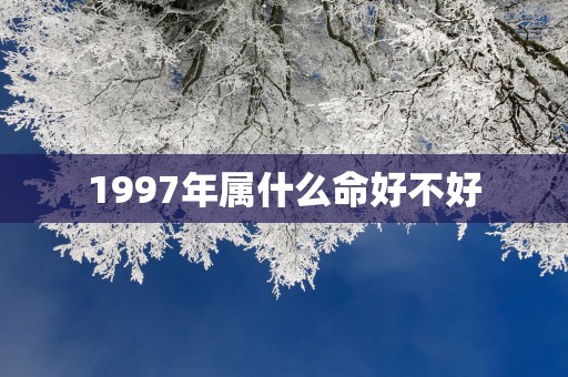 1997年属什么命好不好