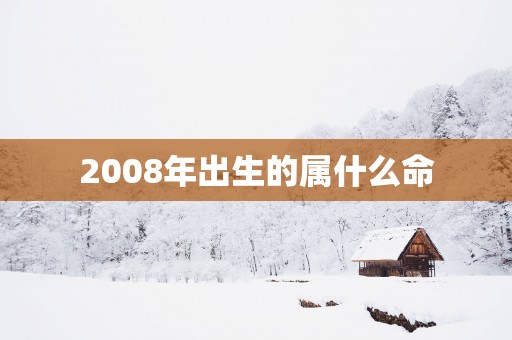 2008年出生的属什么命