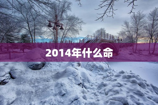 2014年什么命