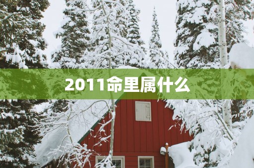 2011命里属什么