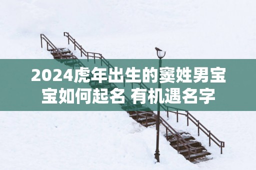 2025蛇年出生的窦姓男宝宝如何起名 有机遇名字
