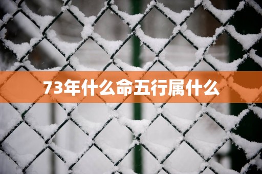 73年什么命五行属什么