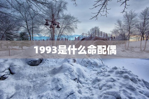 1993是什么命配偶