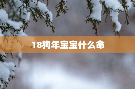 18狗年宝宝什么命