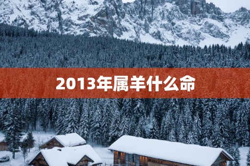 2013年属羊什么命