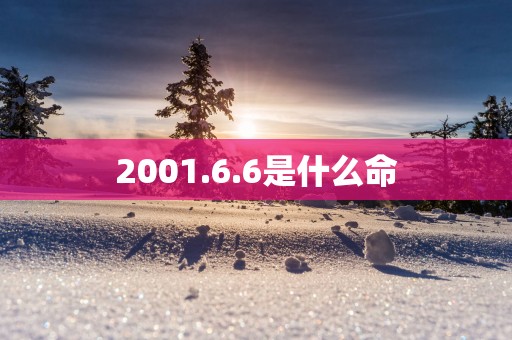2001.6.6是什么命