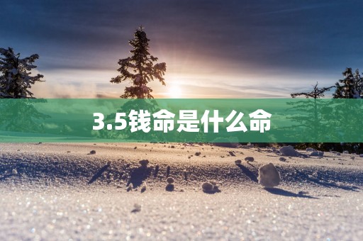 3.5钱命是什么命