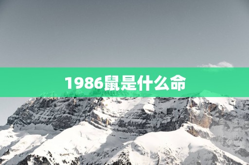 1986鼠是什么命