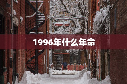 1996年什么年命