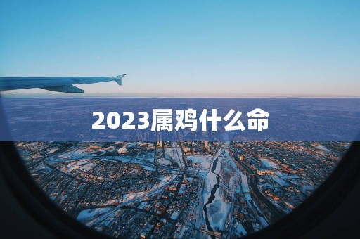 2025属鸡什么命