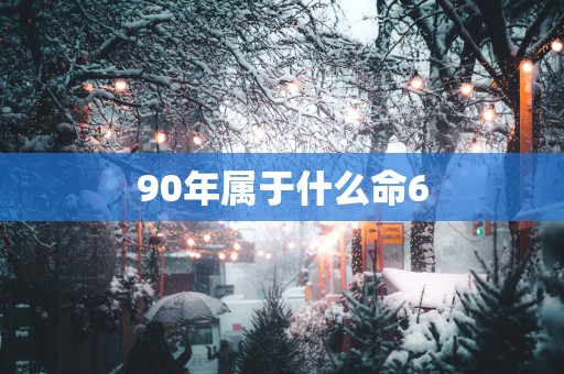 90年属于什么命6