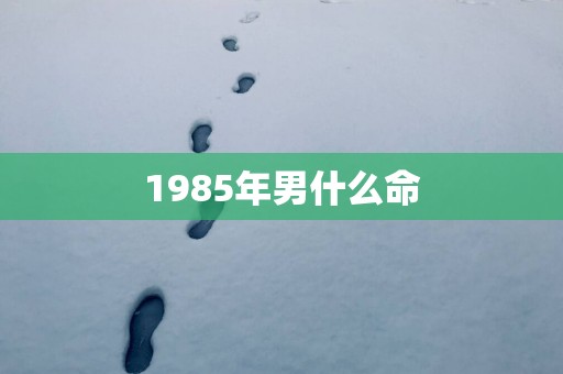 1985年男什么命