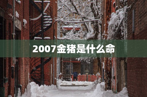 2007金猪是什么命 2007金猪是什么命