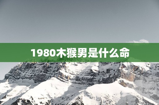 1980木猴男是什么命