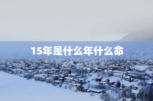 15年是什么年什么命