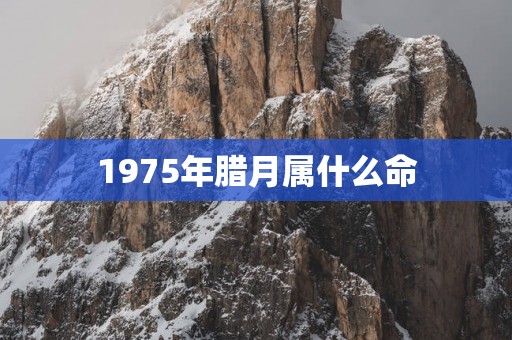 1975年腊月属什么命