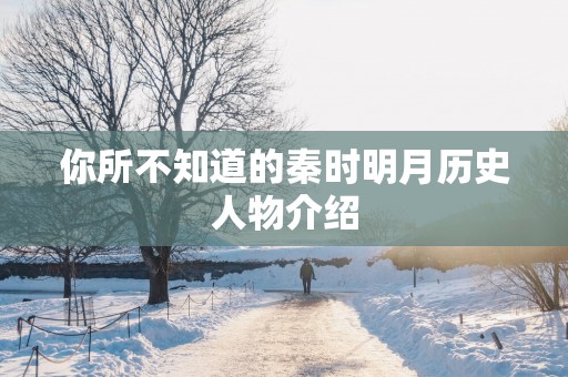 你所不知道的秦时明月历史人物介绍