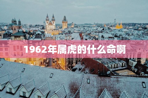 1962年属虎的什么命啊
