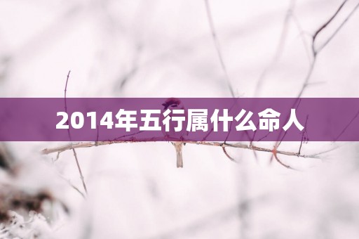 2014年五行属什么命人
